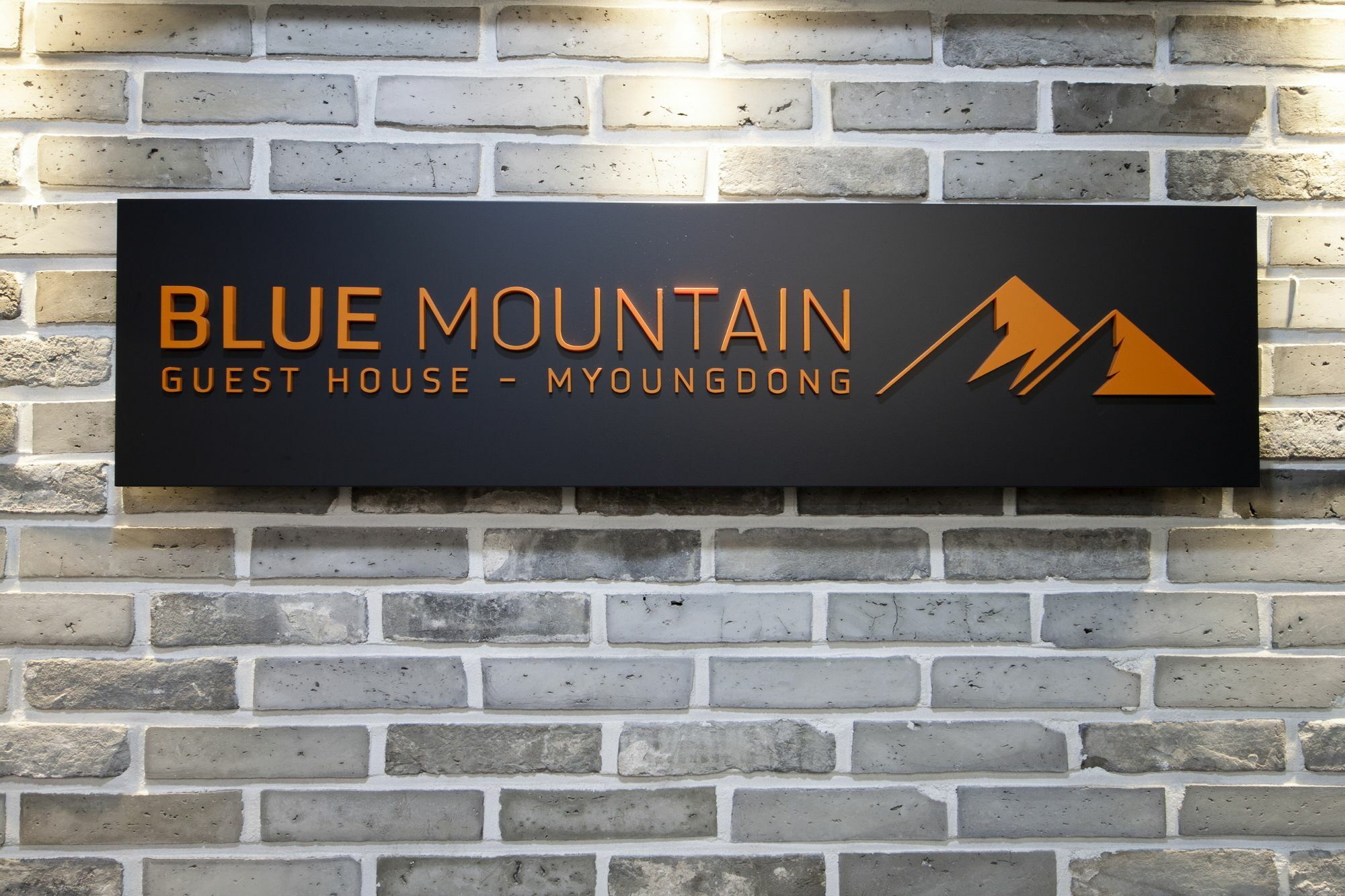 Blue Mountain Myeong-Dong Hotel Seul Exterior foto